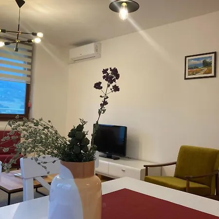 Centar 公寓 塞拉耶佛