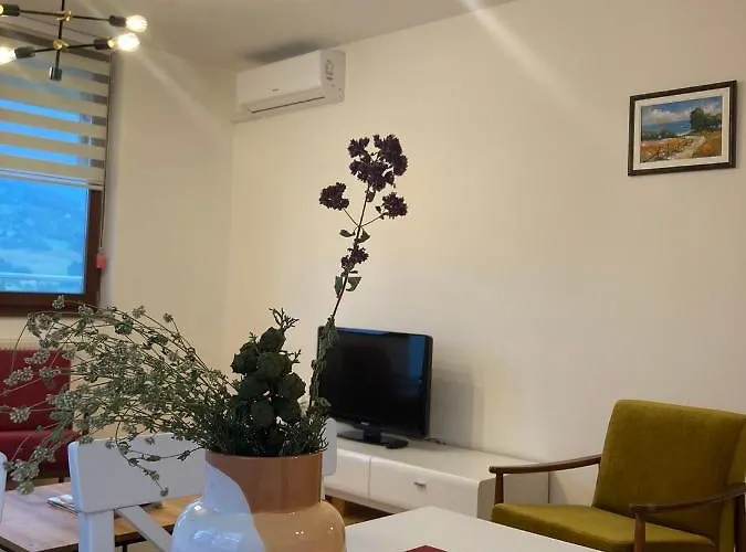 Centar 公寓 塞拉耶佛